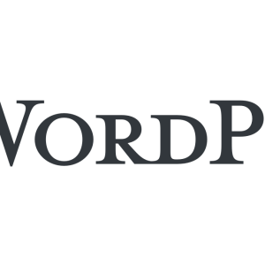 Wordpress Website Consult